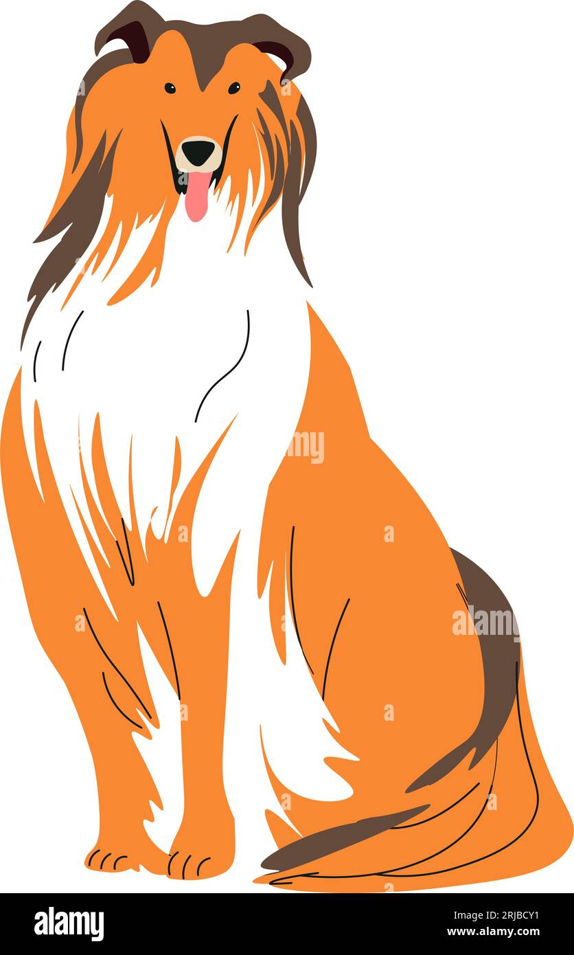 Bordure collie à cheveux longs, vecteur animal canin Illustration de Vecteur