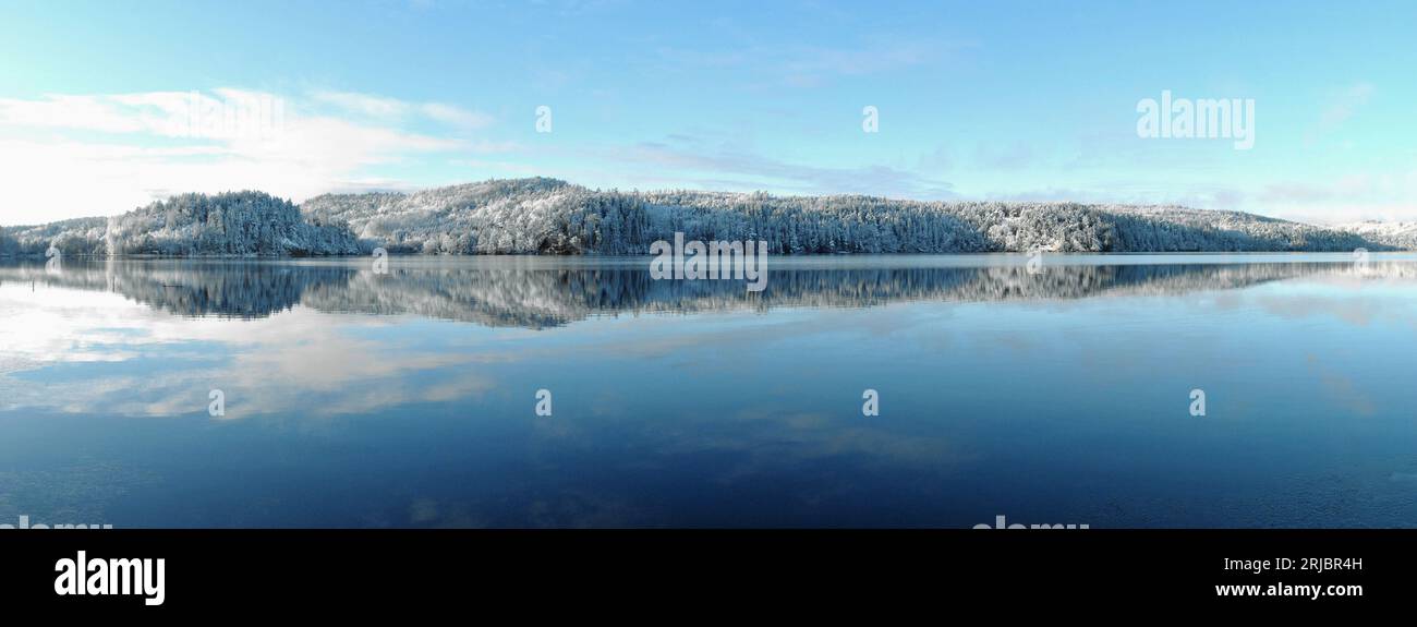 Lac d'hiver et forêt Banque D'Images