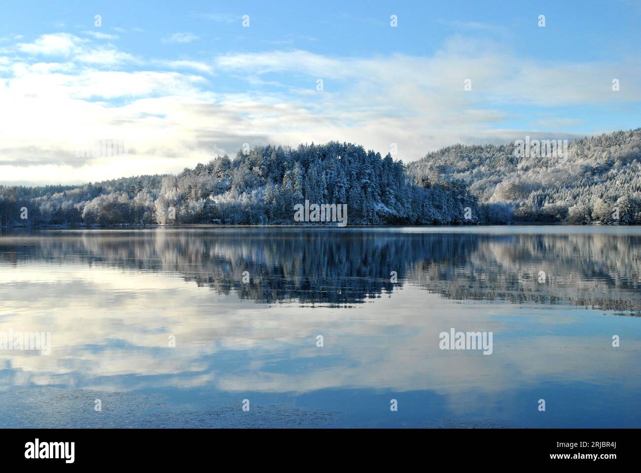 Lac d'hiver et forêt Banque D'Images