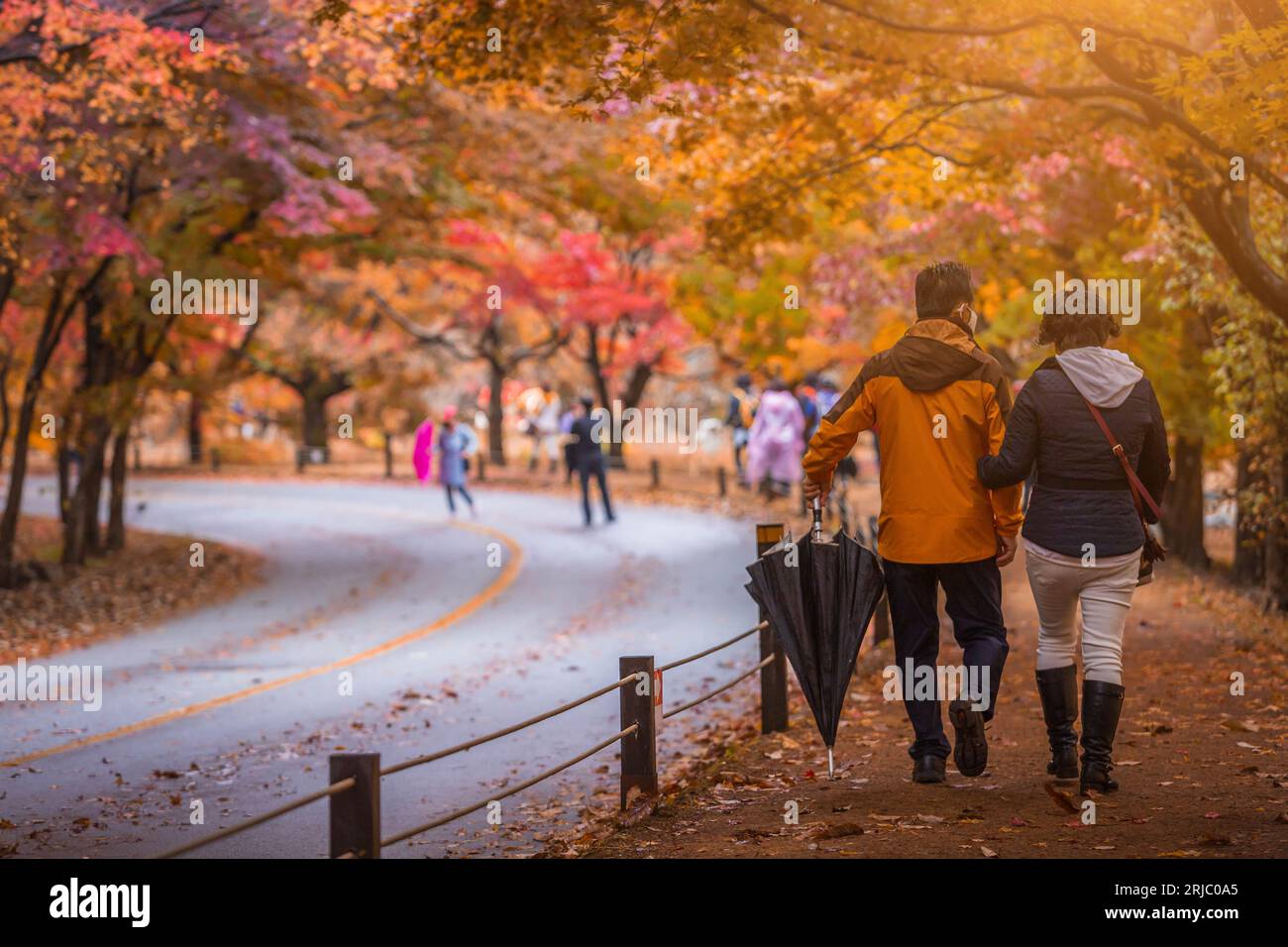 Parc national de Naejangsan , automne en Corée et érable dans le parc, Corée du Sud. Banque D'Images