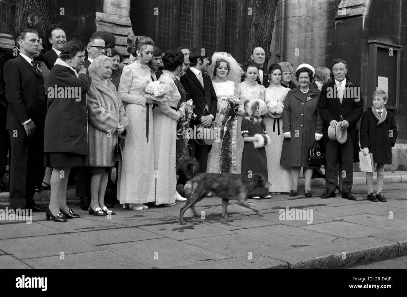 Groupe de mariage des années 1970 sur le point d'être photographié, attendant qu'un chien errant passe devant la photo officielle du couple heureux l'occasion est prise. Debout à l'extérieur de l'église où le mariage a eu lieu. Notting Hill, Londres, Angleterre 1970 Royaume-Uni HOMER SYKES Banque D'Images