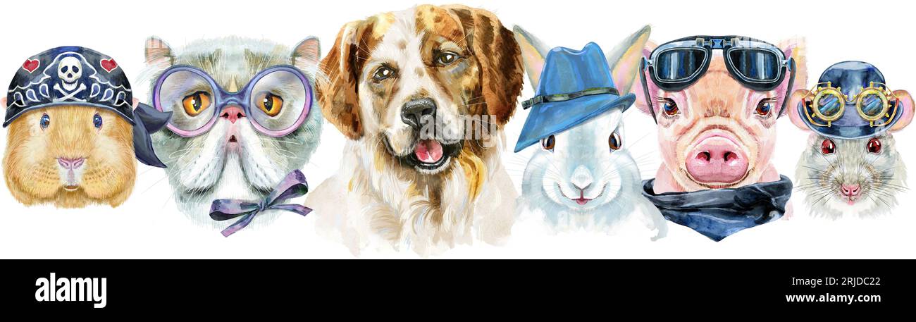 Bordure pour animaux de compagnie. Dessin aquarelle peint à la main, isoler clip art sur fond blanc. Conception de bannière Banque D'Images