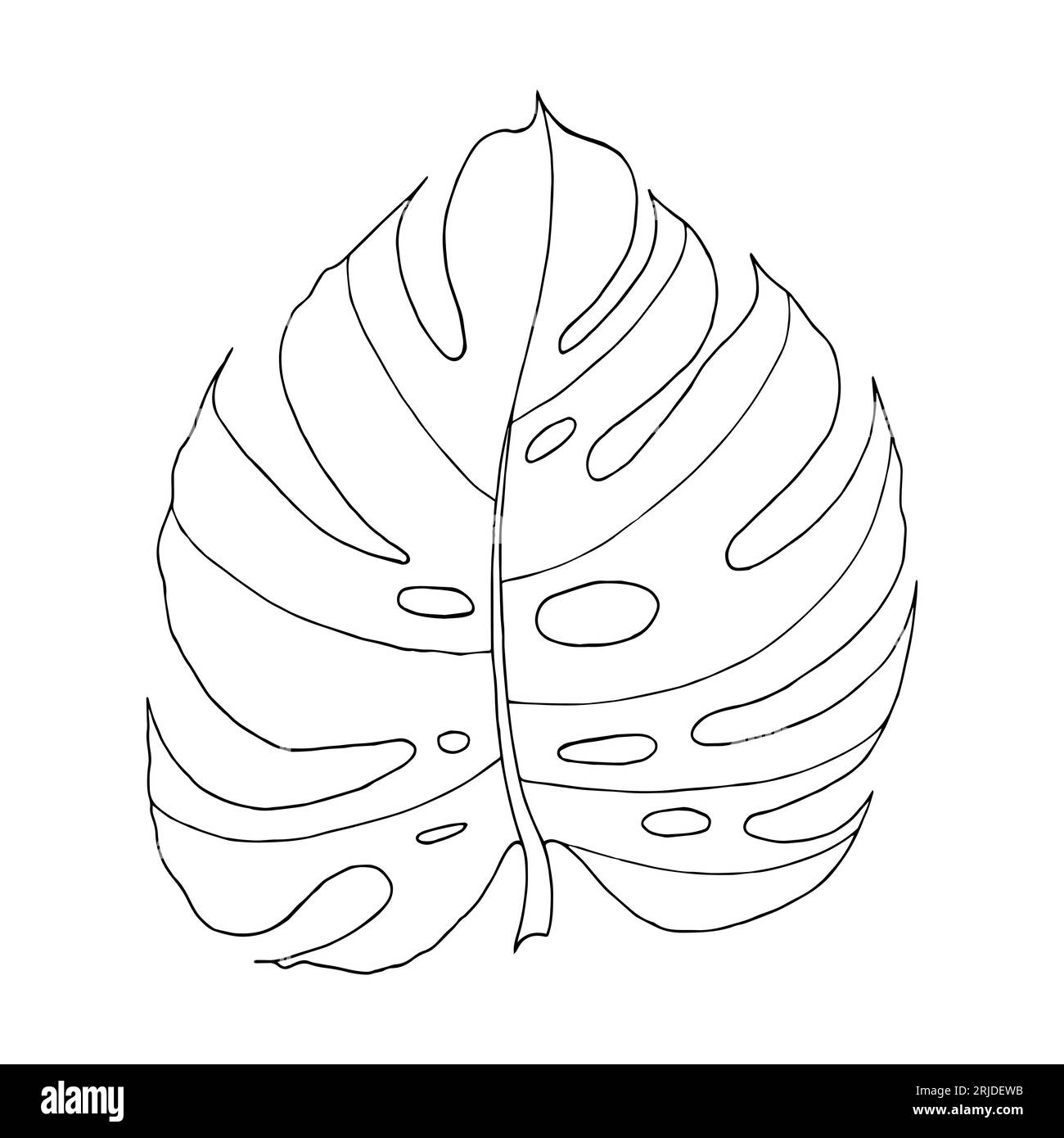 Élément isolé de vecteur dessiné à la main de feuille tropicale de Monstera pour la conception en couleur noire. Illustration de Vecteur Élément isolé de vecteur dessiné à la main de feuille tropicale de Monstera pour la conception en couleur noire. Illustration de Vecteur