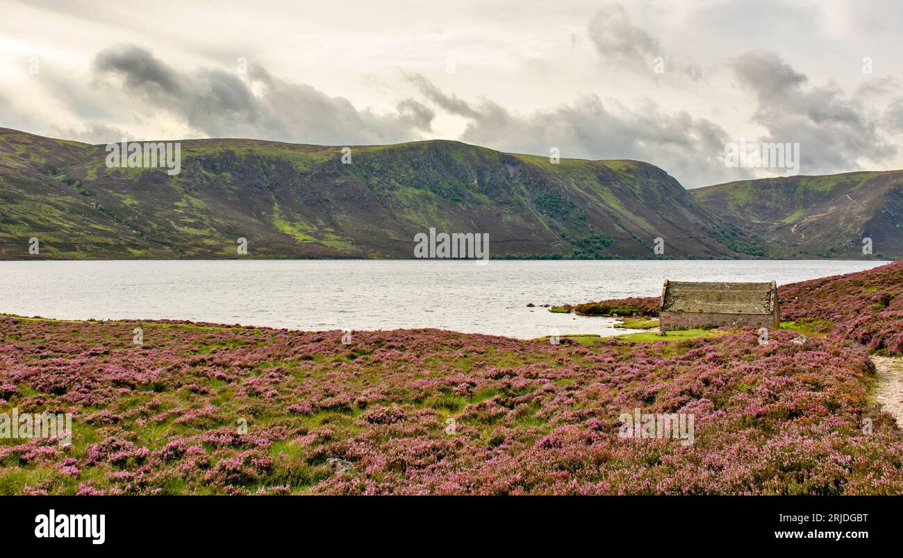 Loch Muick Ballater Balmoral Estate Scotland vue sur le hangar à bateaux en pierre et vaste bruyère violette sur les collines en été Banque D'Images