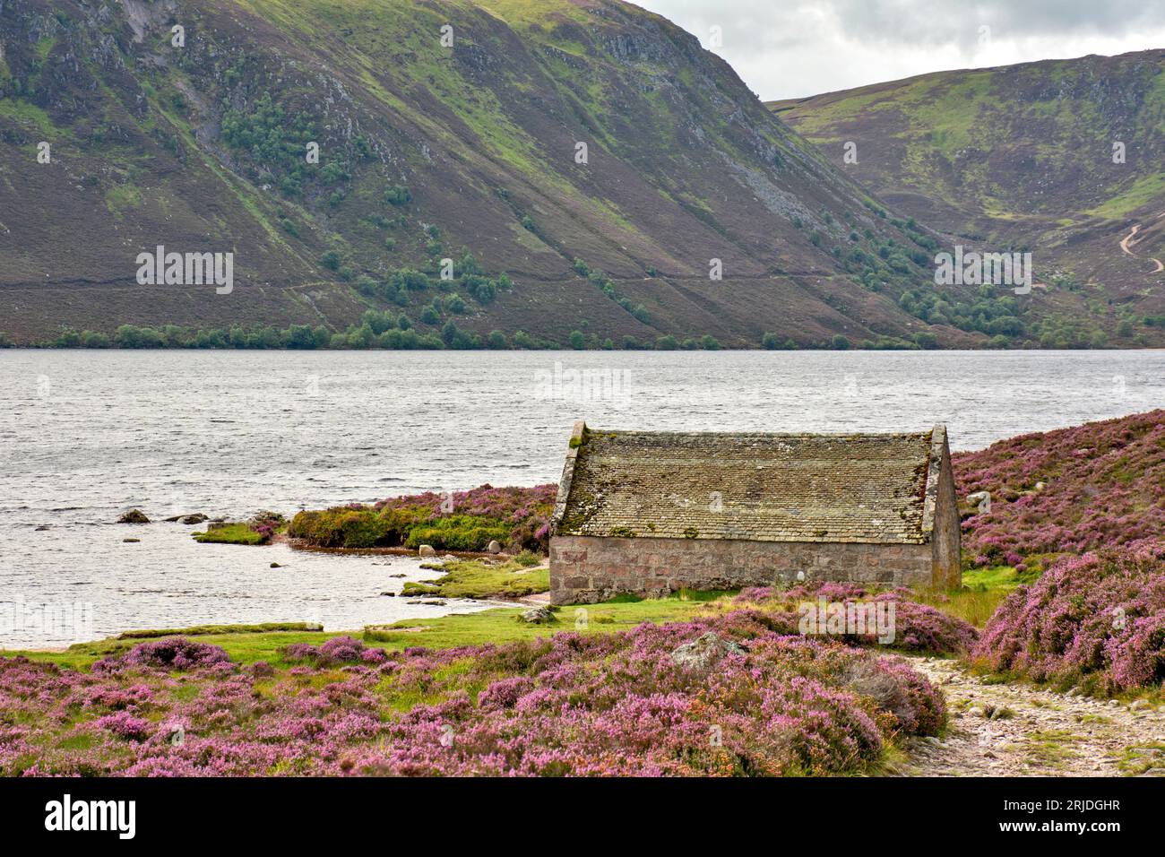 Loch Muick Ballater Balmoral Estate Scotland vue sur le hangar à bateaux en pierre et la bruyère violette sur les collines en été Banque D'Images