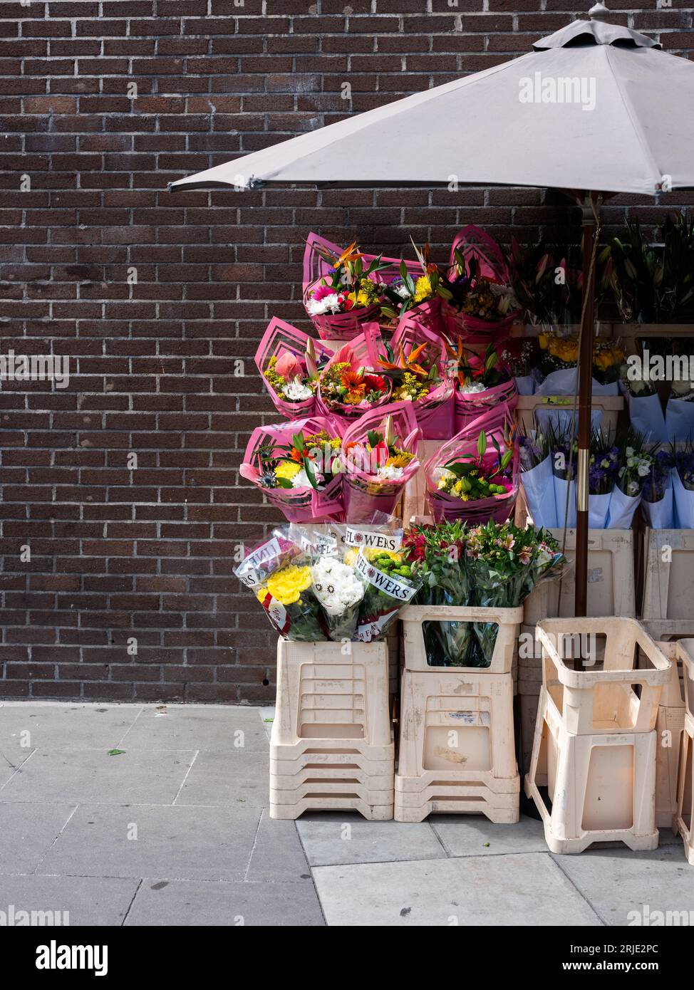 Un stand de fleurs dans la ville de Dublin, irlande. Banque D'Images