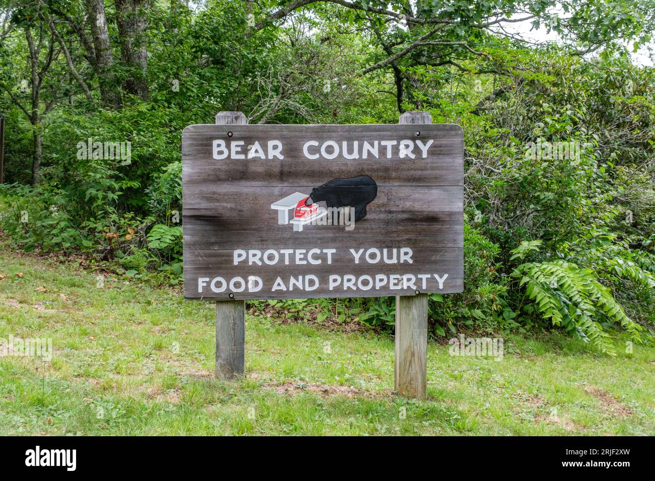 Bear Country Sign dans les bois Banque D'Images