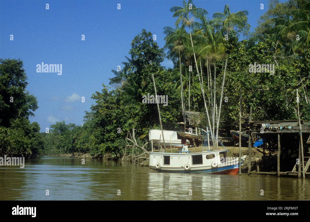 Brésil, région amazonienne, État du Para. Rio Guama, avec bateau et trois bateaux sur terre. Le palmier est assai (açai), Euterpe oleracea. Banque D'Images