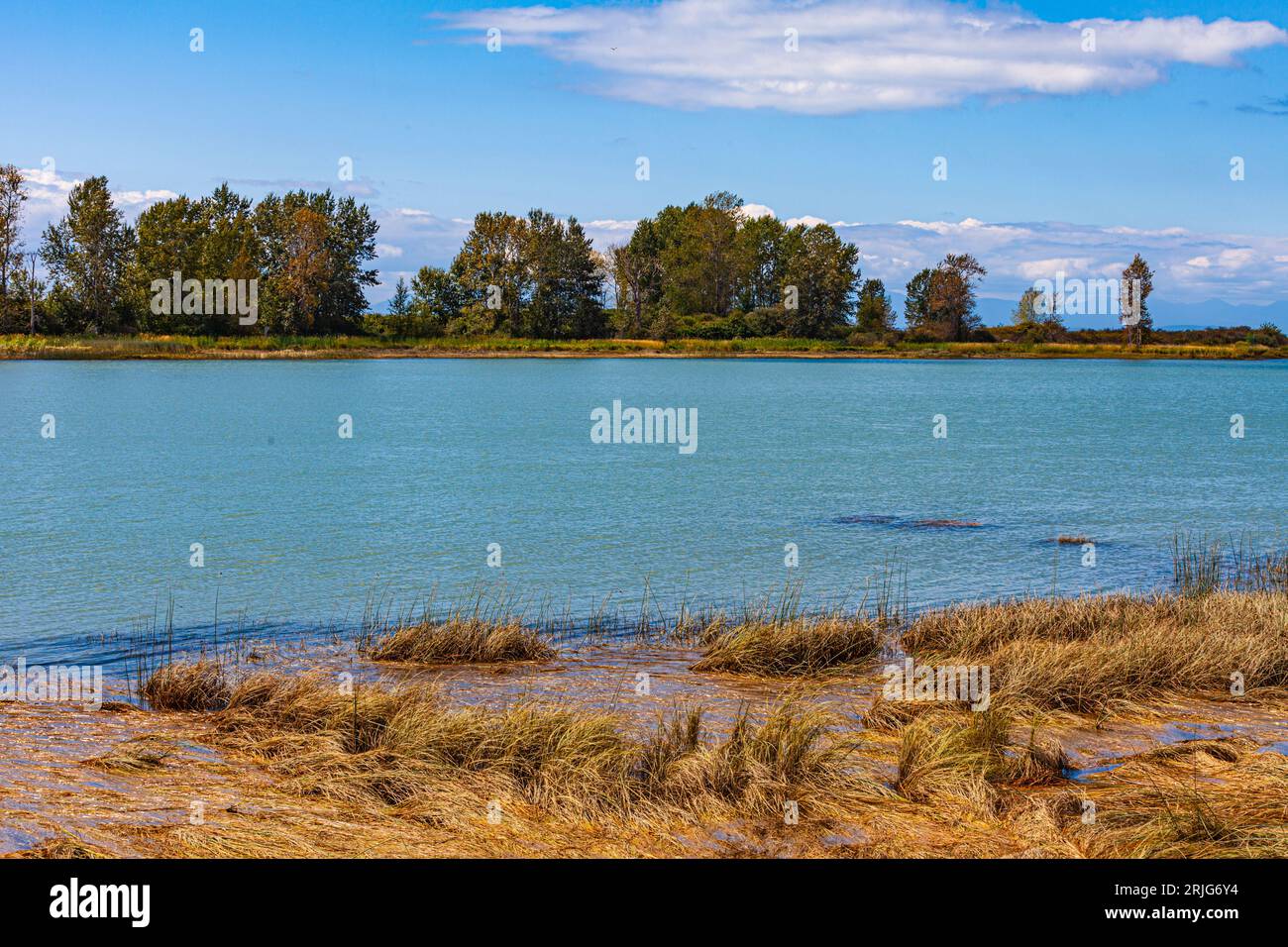 Vue de l'autre côté du chenal Steveston depuis le chantier naval Britannia en Colombie-Britannique Canada Banque D'Images