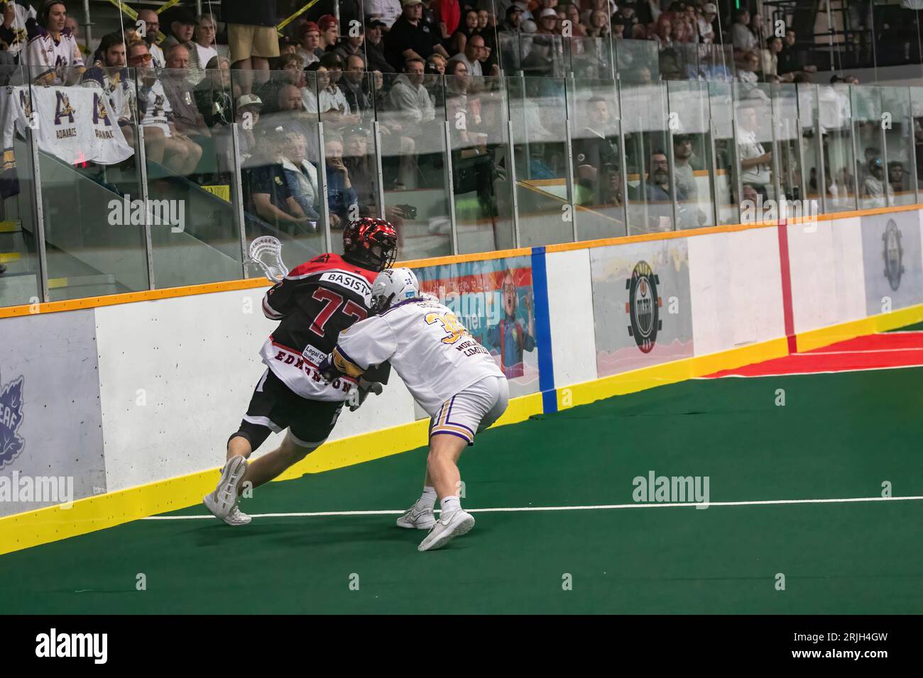 Edmonton Miners (noir/orange) Zach Basisty (77) est frappé par Coquitlam Adanacs (blanc jaune) Ben Coghill (66) lors de la 2e journée de la coupe Minto entre Edmonton Miners et Coquitlam Adanacs à l’aréna Bill Hinter. Note finale : Edmonton Miners vs Coquitlam Adanacs, 11:15 la coupe Minto est le championnat national junior A Box Lacrosse. La coupe Minto a été offerte en 1901 par Sir Gilbert John Murray Kynmond Elliot, et a été officiellement fait le trophée du championnat national junior A De crosse box en 1937. Banque D'Images