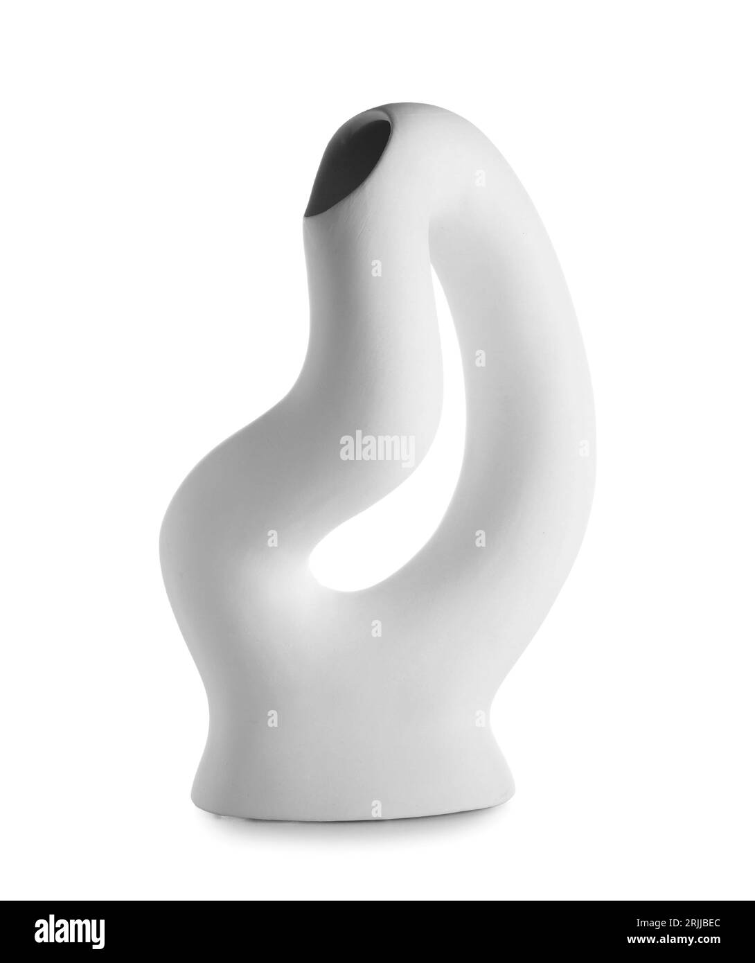 Vase de fleur sur fond blanc Banque D'Images