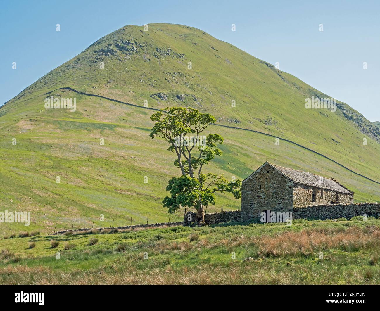 Vue de la vieille grange avec le NAB en arrière-plan, près de Dale Head, Martndale, Cumbria, Angleterre, ROYAUME-UNI Banque D'Images