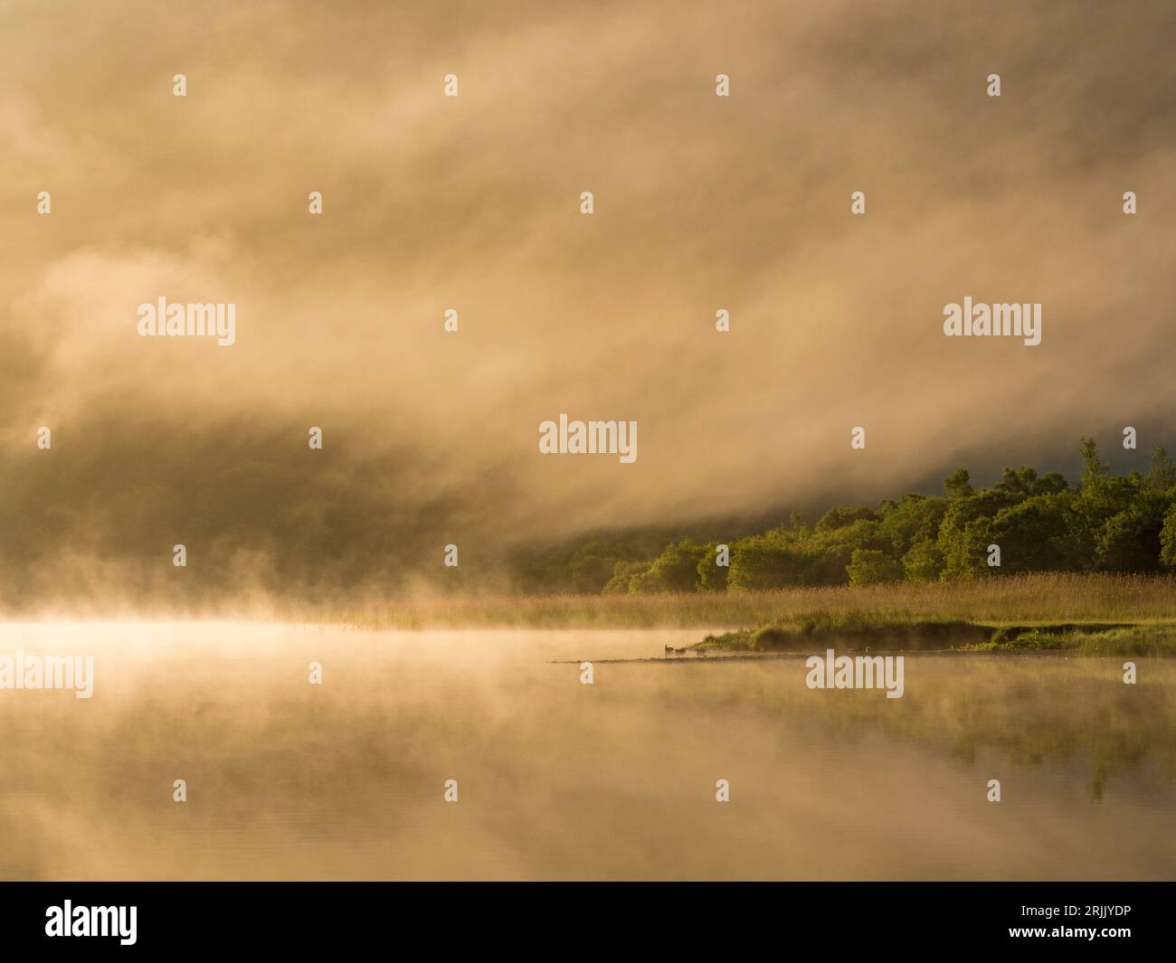 Brume matinale au-dessus du lac Brothers Water, dans la région des lacs, Cumbria, Angleterre, Royaume-Uni Banque D'Images