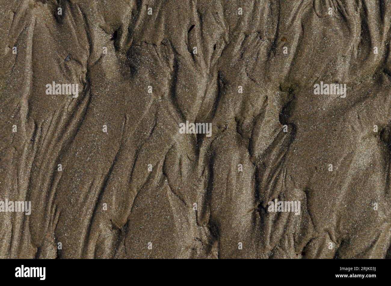 Motifs dans le sable appropriés pour la publicité ou brochure de voyage Banque D'Images