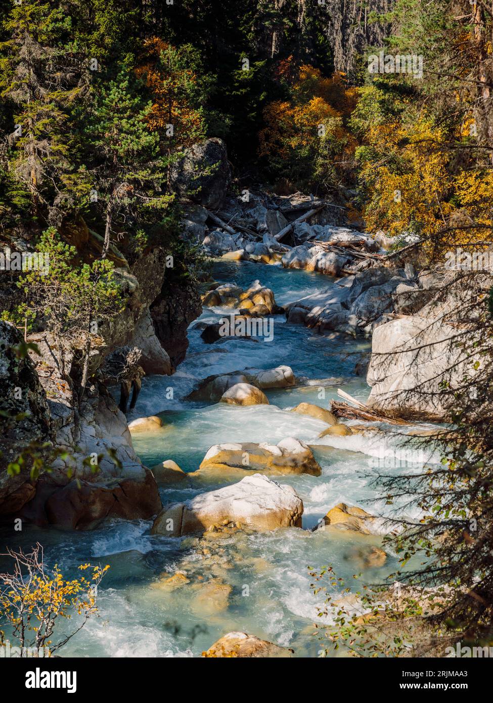 Rivière de montagne dans la forêt sauvage. Paysage de montagne avec rivière Banque D'Images