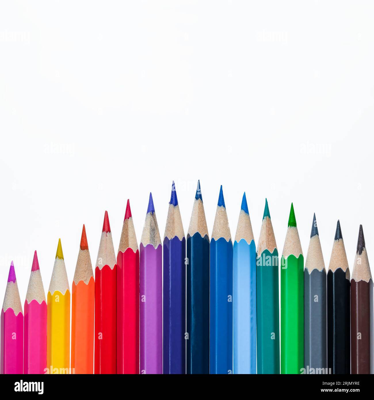 Crayons de couleur rivalisent les uns avec les autres dans un style plat sur blanc. Banque D'Images