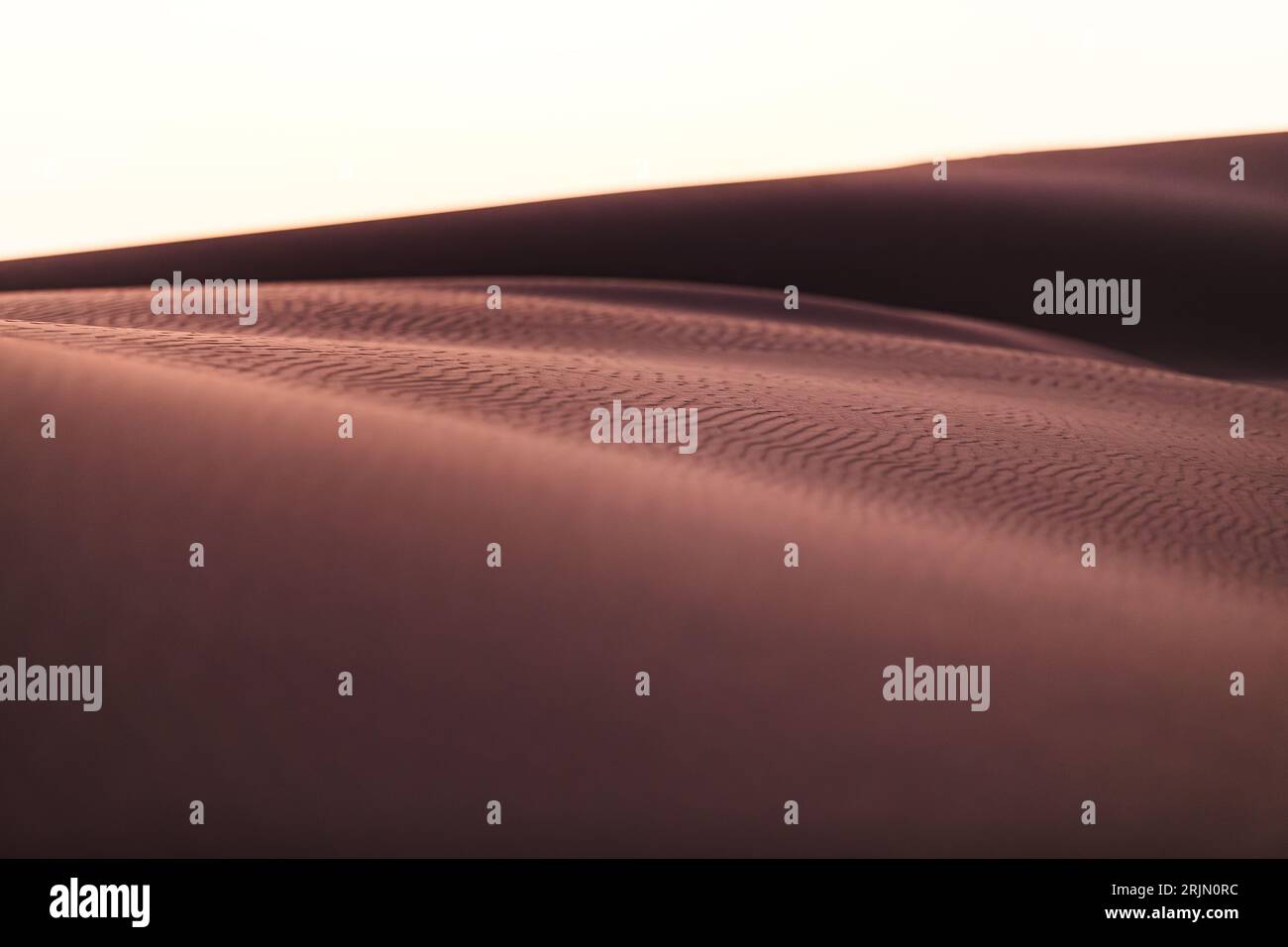Dunes de sable doré abstrait désert du Namib Skeleton Coast Afrique australe Banque D'Images