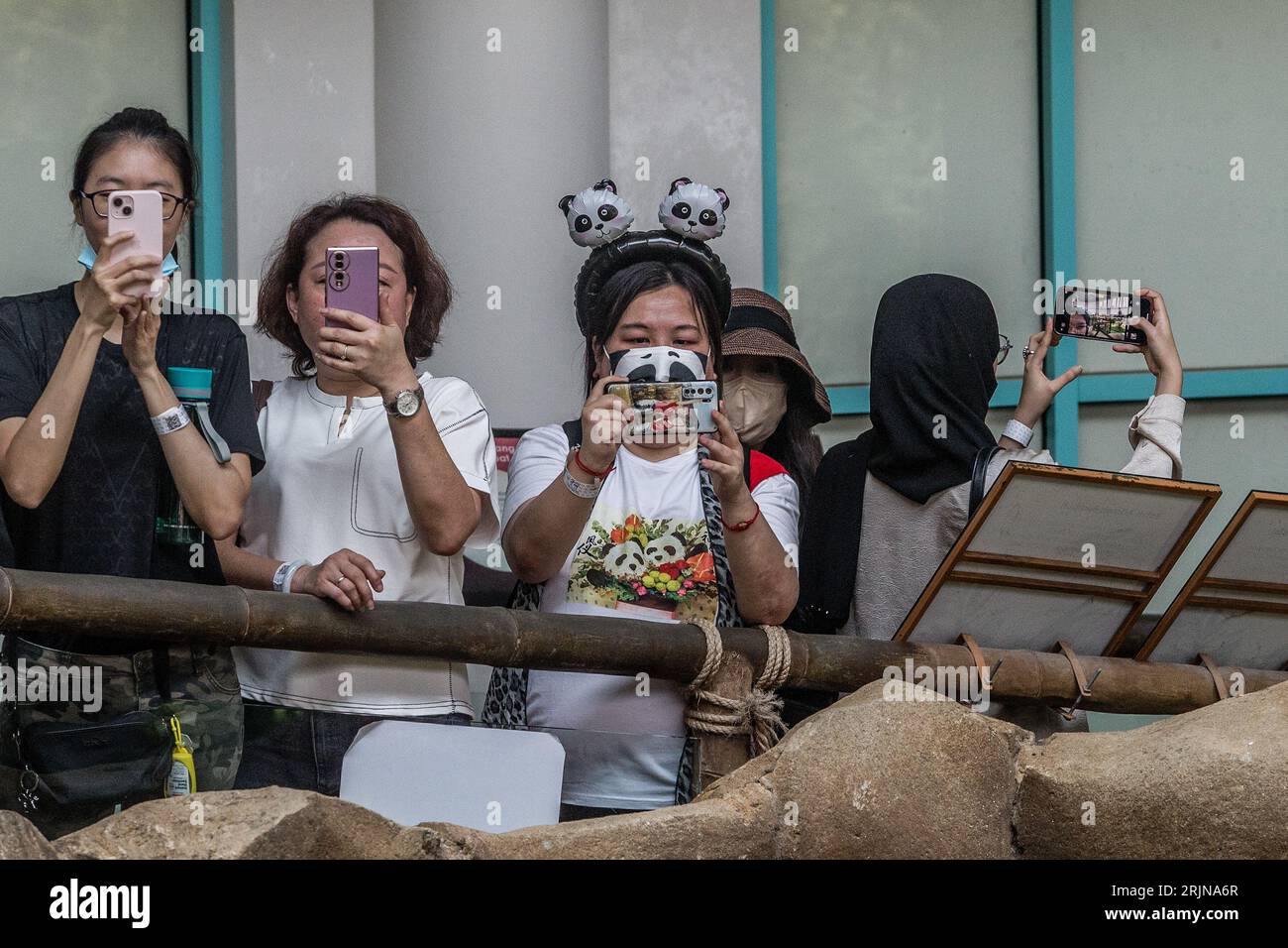 Kuala Lumpur, Kuala Lumpur, Malaisie. 23 août 2023. Les visiteurs observent les pandas géants lors des célébrations du 17e anniversaire des pandas géants Xing Xing et Liang Liang au zoo national de Kuala Lumpur le 23 août 2023. Le zoo national de Malaisie célèbre le 17e anniversaire des pandas Xing Xing et Liang Liang. Tous deux sont nés le 23 août 2006 et sont arrivés en Malaisie en mai 2014, marquant le 40e anniversaire des relations diplomatiques entre la Chine et la Malaisie. (Image de crédit : © Mohd Daud/ZUMA Press Wire) USAGE ÉDITORIAL SEULEMENT! Non destiné à UN USAGE commercial ! Banque D'Images