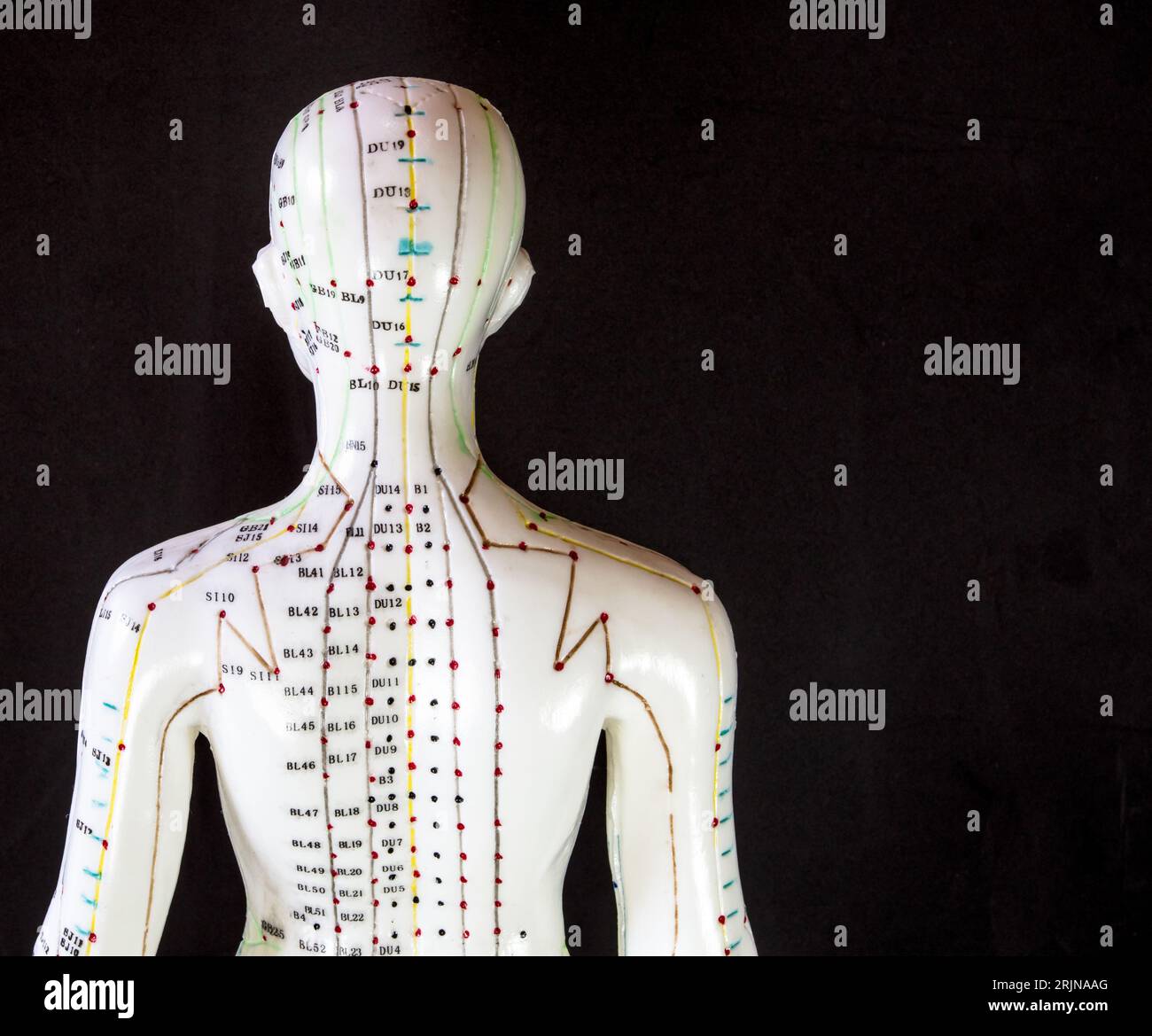 Un mannequin avec des méridiens d'acupuncture brillants affichés sur un fond sombre Banque D'Images