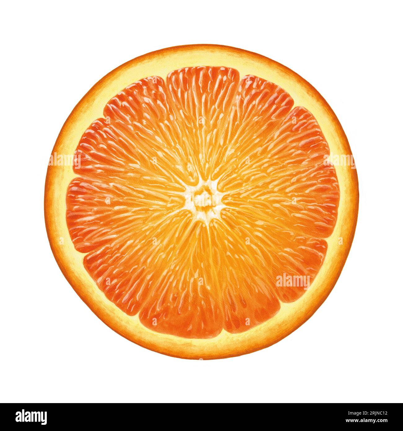 Illustré orange isolé Banque D'Images