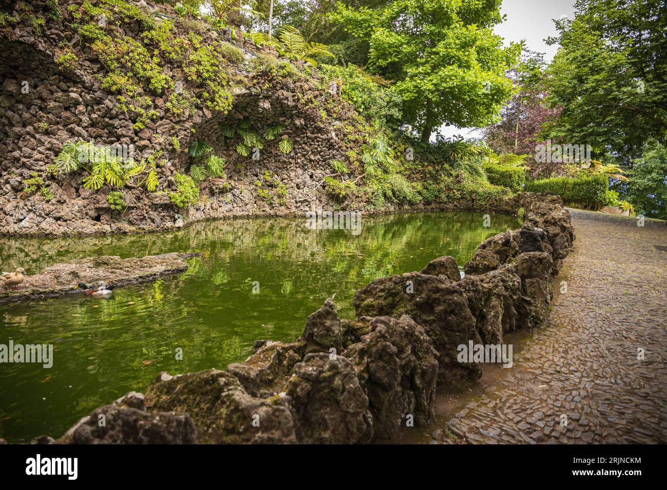 Un gros plan d'une passerelle en pierre à côté du bord d'un étang dans une île verdoyante de Madère, Funchal Banque D'Images