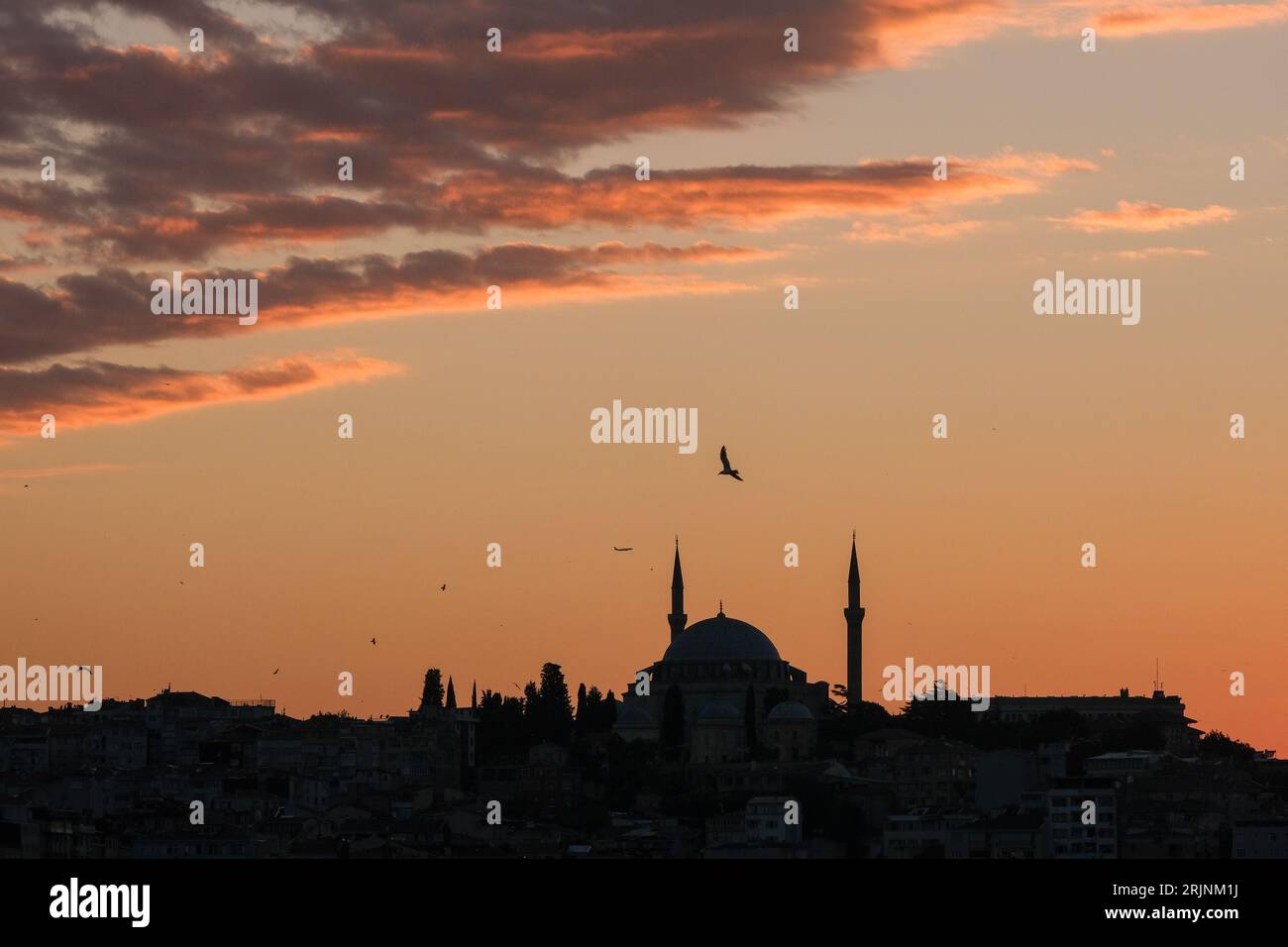 Golden heures coucher de soleil lumière inversée avec silhouette de mosquée et mouette et avion. Concept de mosquée Ramadan. EID Mubarak. Mise au point sélective. Espace ouvert. Banque D'Images