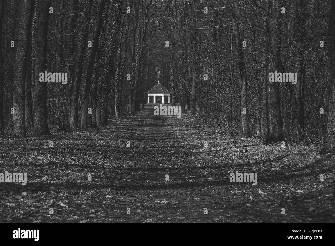 Parc du château de Milotice, Noir et blanc 1 Banque D'Images