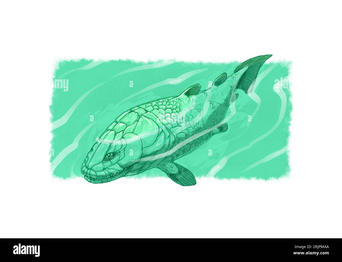 Paléo-art, Osteolepis, poisson écossais éteint à nageoires lobées de la période du Dévonien, couvert d'écailles, ce rhipidistien partageait des traits avec les tétrapodes. Banque D'Images Paléo-art, Osteolepis, poisson écossais éteint à nageoires lobées de la période du Dévonien, couvert d'écailles, ce rhipidistien partageait des traits avec les tétrapodes. Banque D'Images