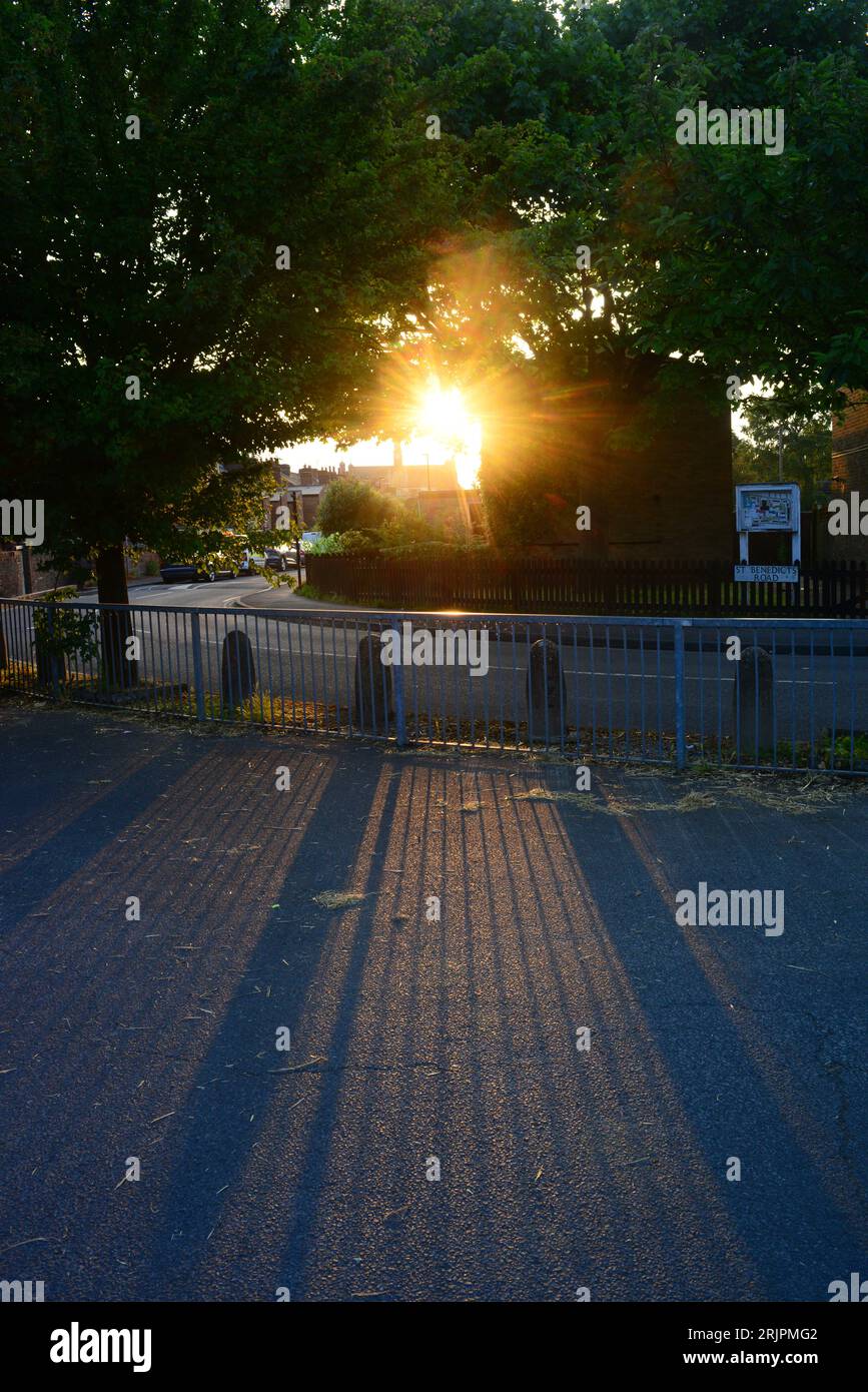 lumière du soleil à travers les arbres au coucher du soleil york yorkshire uk Banque D'Images