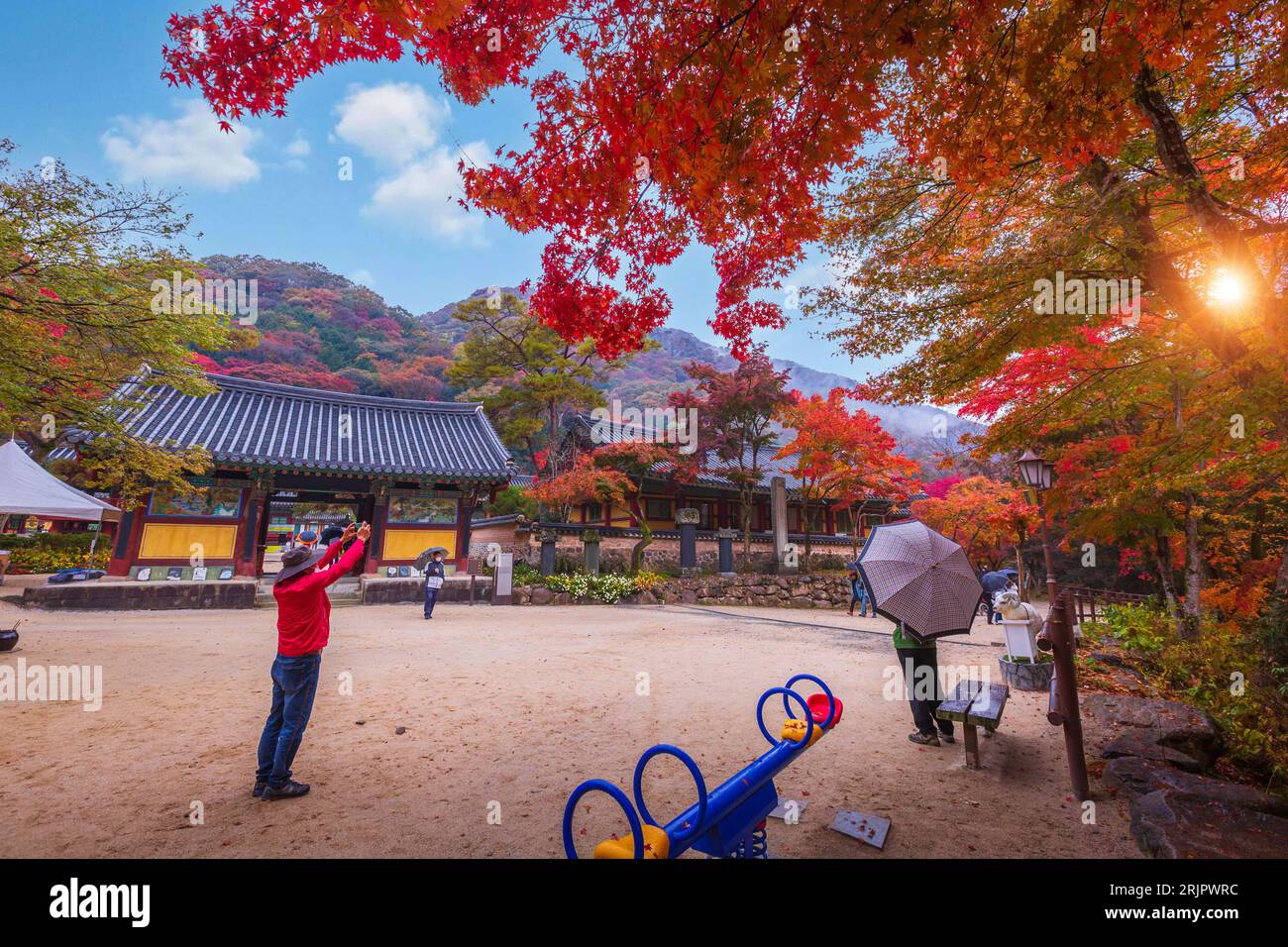 Parc national de Naejangsan , automne en Corée et érable dans le parc, Corée du Sud. Banque D'Images