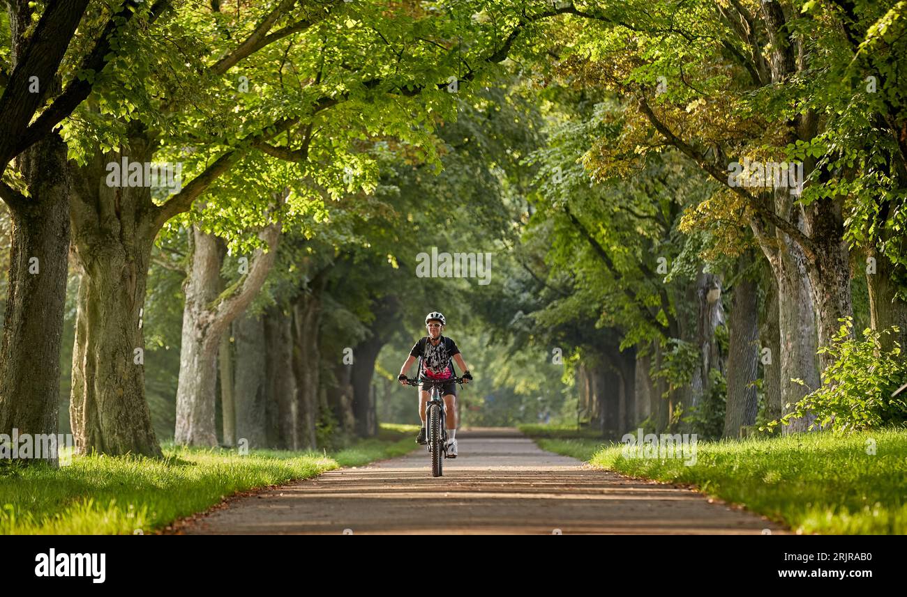 Sénior femme sénior attrayante à vélo avec son vélo de montagne électrique dans une belle avenue de chêne et châtaignier à Ludwigsburg, Baden-Wuerttemberg, GE Banque D'Images