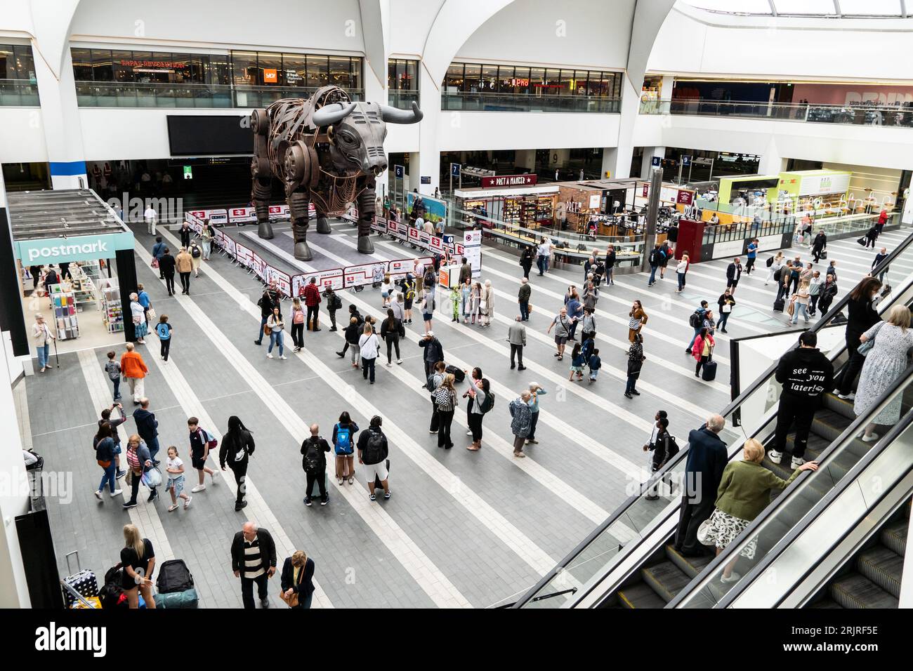 BIRMINGHAM NEW STREET STATION, ROYAUME-UNI - 23 AOÛT 2023. Ozzy le taureau mécanique utilisé comme mascotte pour les Jeux du Commonwealth se tient maintenant dans le hall Banque D'Images