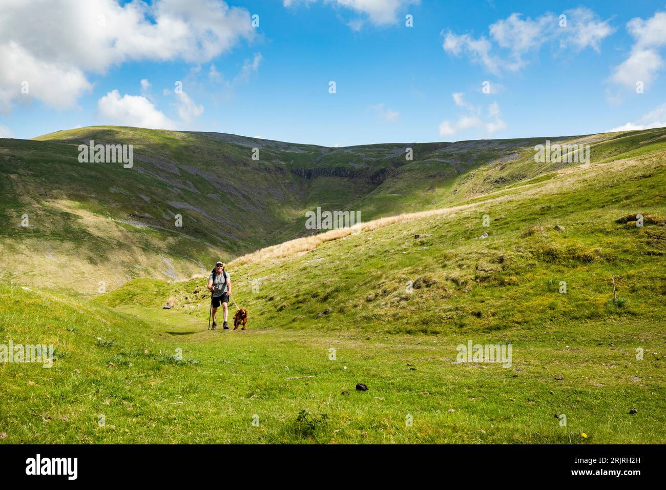 Marcheur mâle avec un chien sur la piste jusqu'à Cross Fell, plus haut à Pennines, Eden Valley, Cumbria Banque D'Images