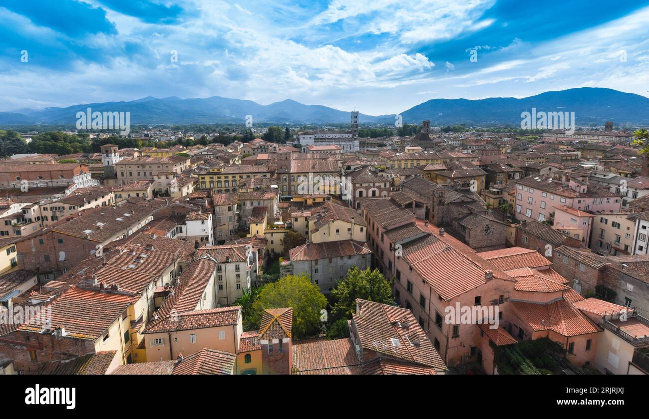 Voir à partir de la Torre Guinigi à la vieille ville de Lucca, Toscane, Italie Banque D'Images