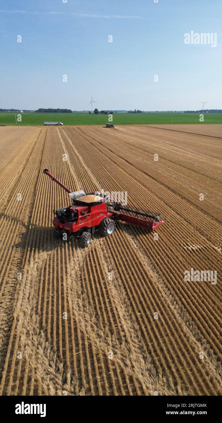 Vue aérienne verticale d'une moissonneuse-batteuse rouge travaillant dans un champ Banque D'Images