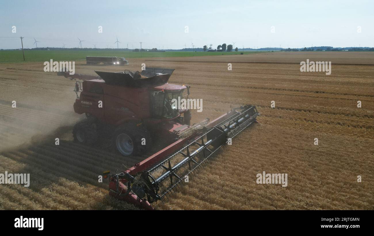 Vue rapprochée aérienne d'une moissonneuse-batteuse rouge travaillant dans un champ Banque D'Images