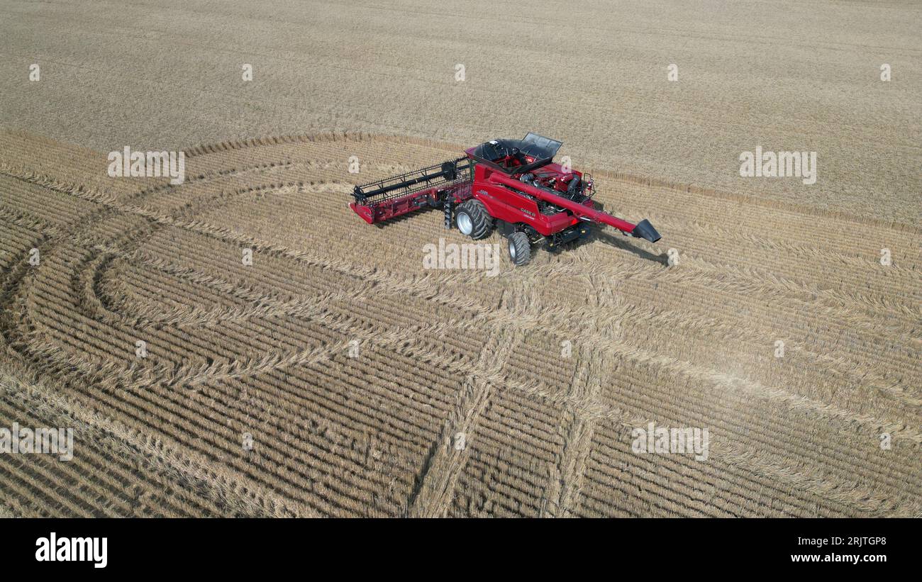 Vue aérienne d'une moissonneuse-batteuse rouge travaillant dans un champ de blé sec Banque D'Images