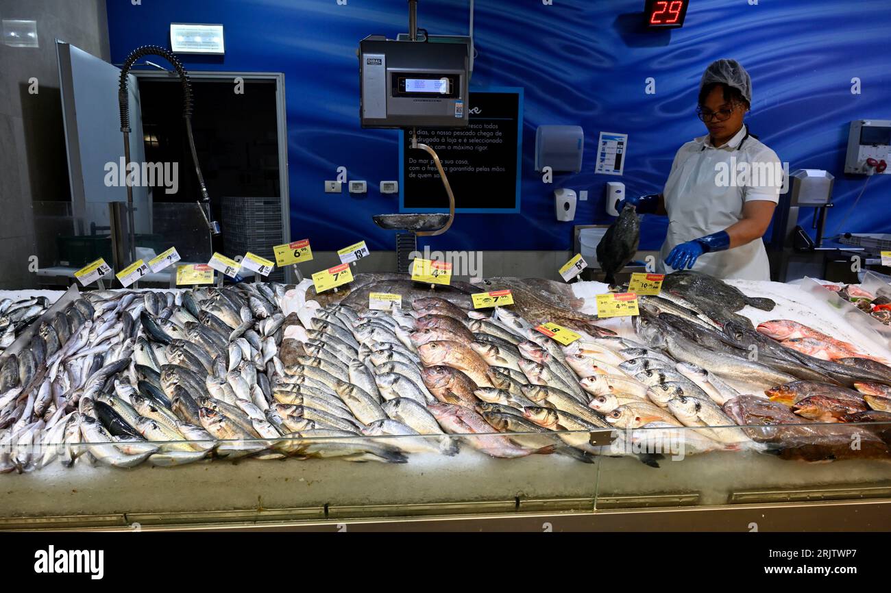 Comptoir de poisson frais dans l'hypermarché Pingo Doce, avec crevettes et poissons sur glace pilée Banque D'Images
