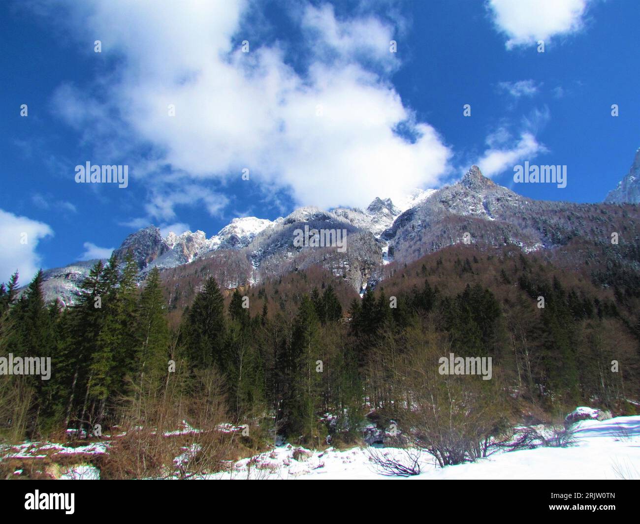 Vue hivernale du pic enneigé au-dessus de la vallée de Krnica dans les alpes juliennes et du parc national du Triglav à Gorenjska, Slovénie par une journée ensoleillée Banque D'Images