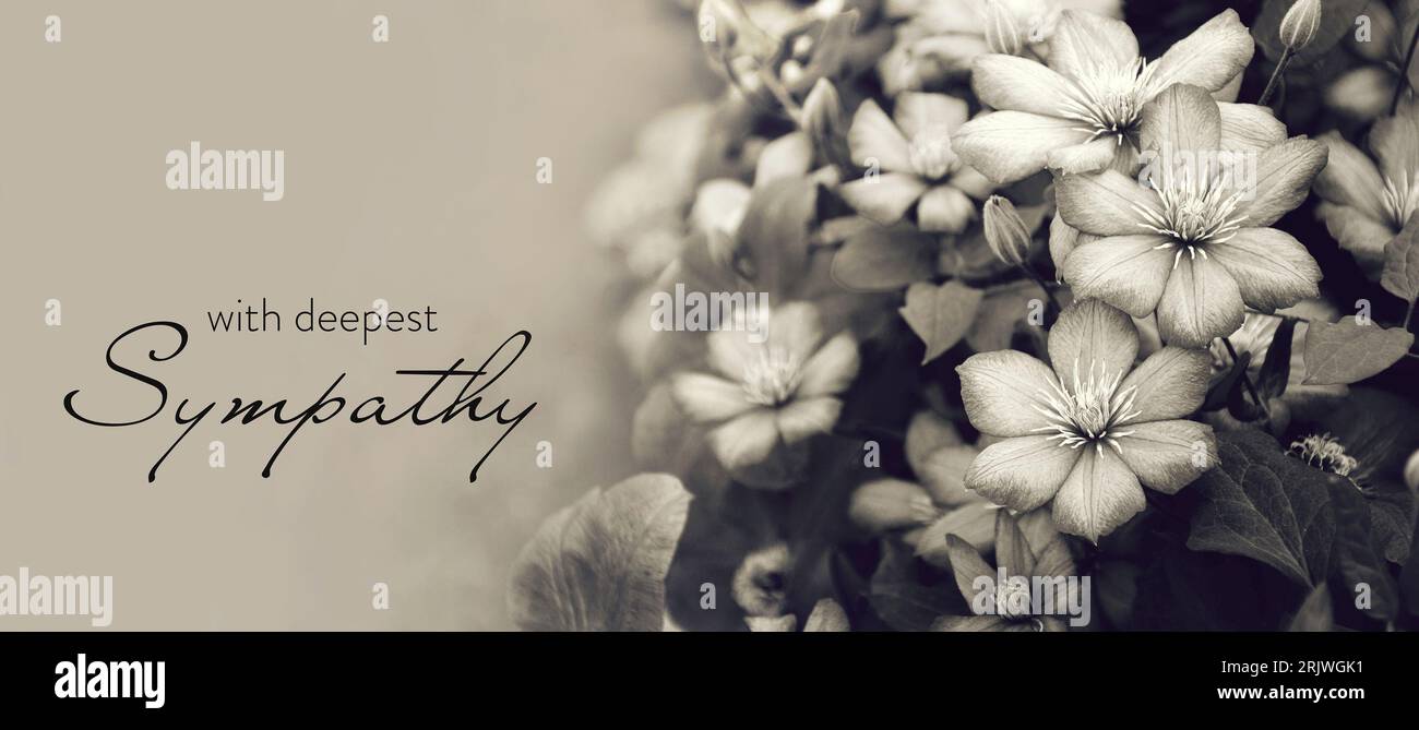 Carte de sympathie Condolence, fleurs funéraires Banque D'Images