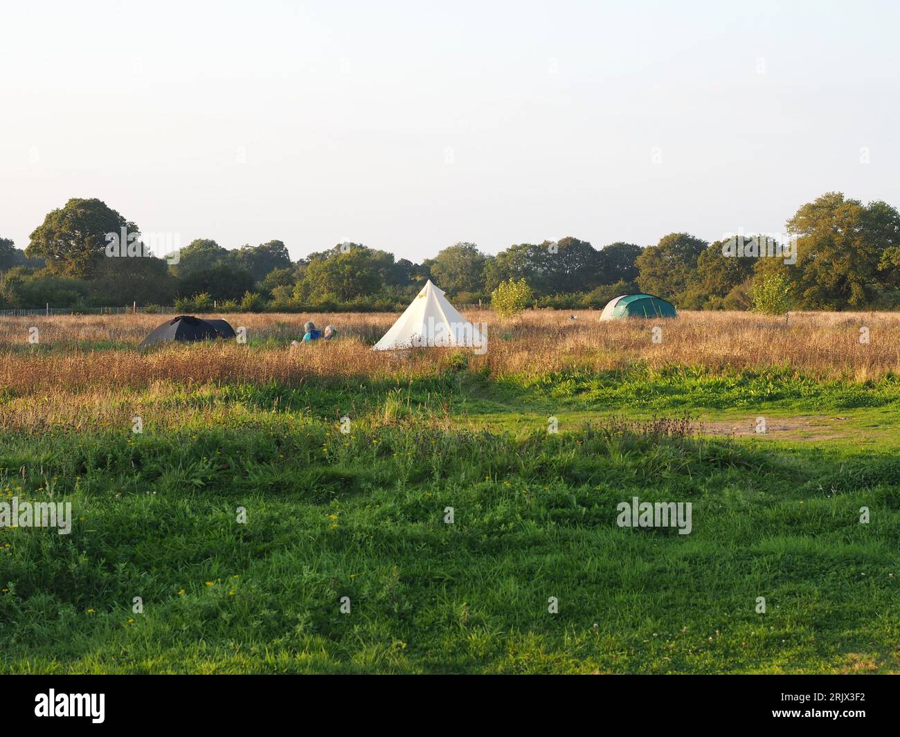 Tentes sur le terrain de camping au projet de rewilding de Knepp. Matin d'automne. Banque D'Images