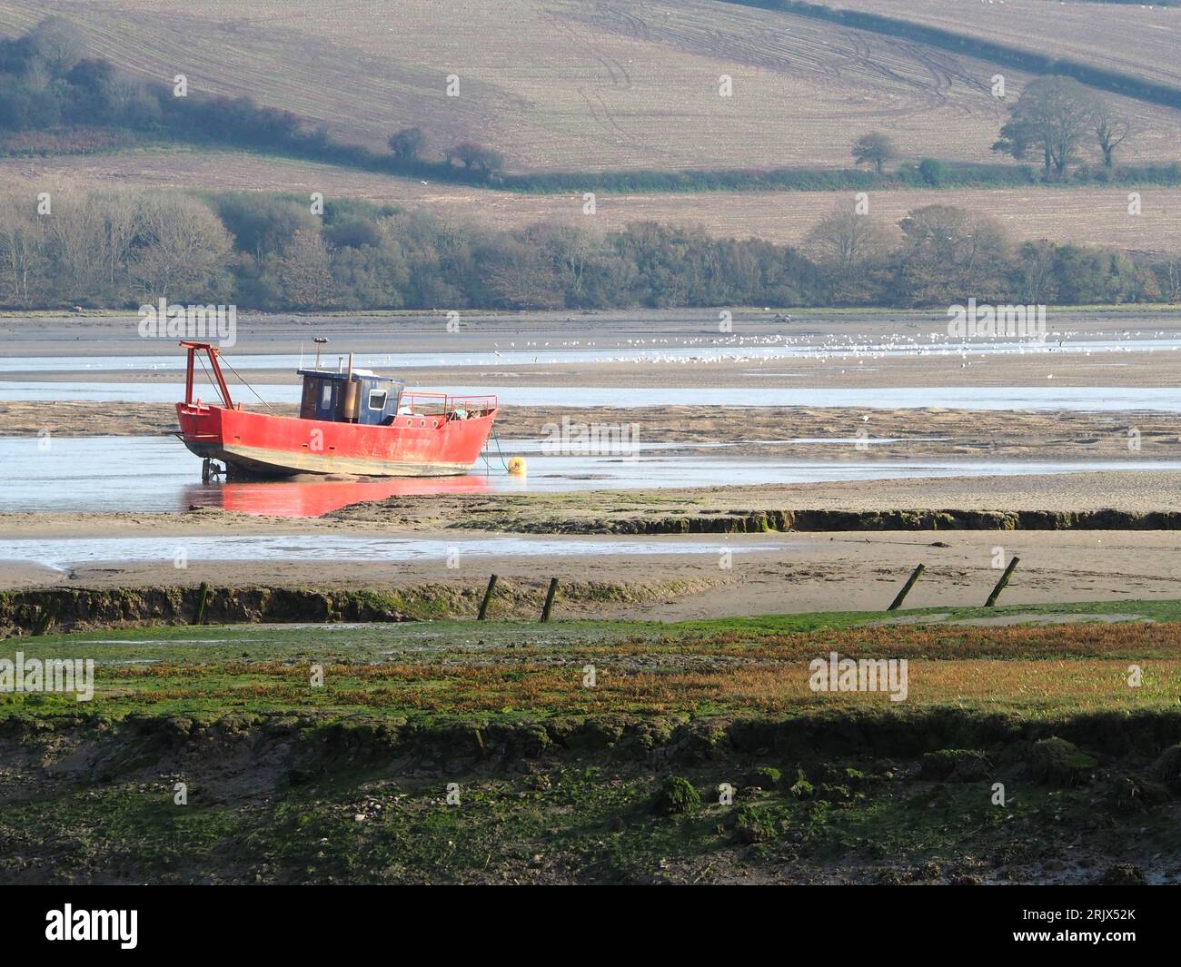 Bateau à moteur rouge et bleu amarré sur l'estuaire du Teifi, St Dogmael's, West Wales. Banque D'Images