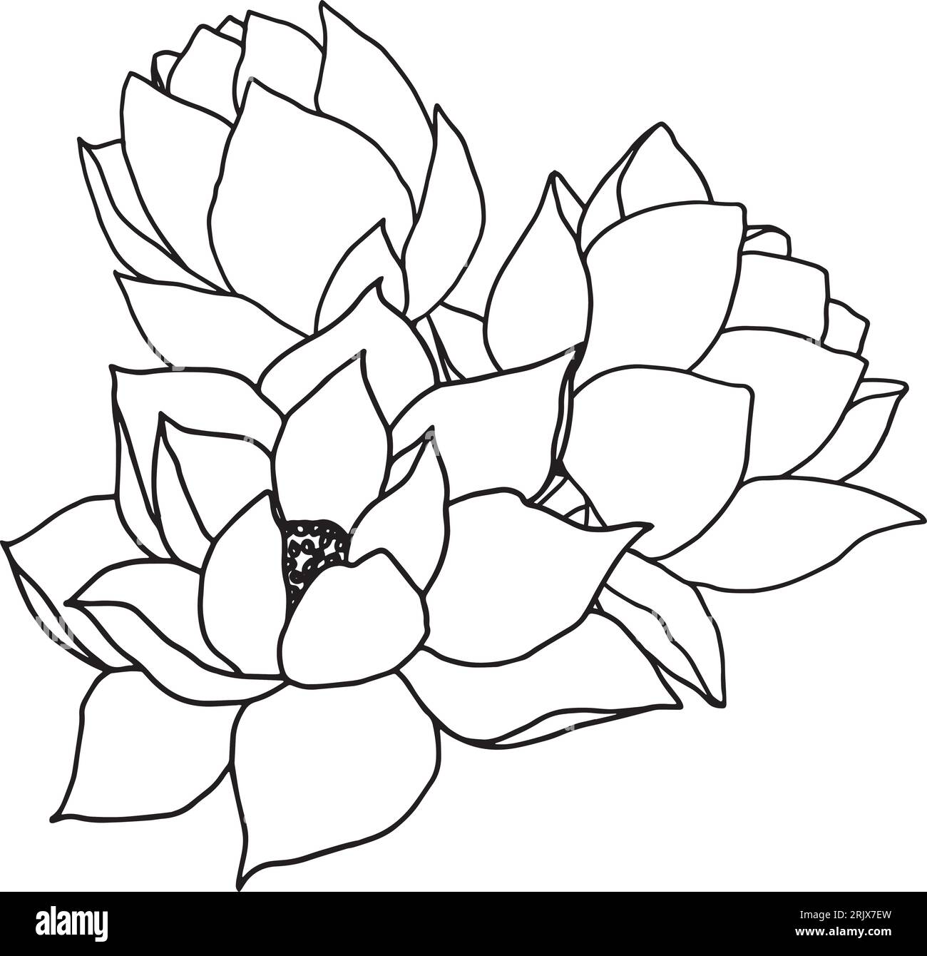 Composition avec des fleurs et des bourgeons de lotus du vent. illustration d'art de ligne noire dessinée à la main. Dessin floral de contour pour logo, tatouage, conception d'emballage Illustration de Vecteur