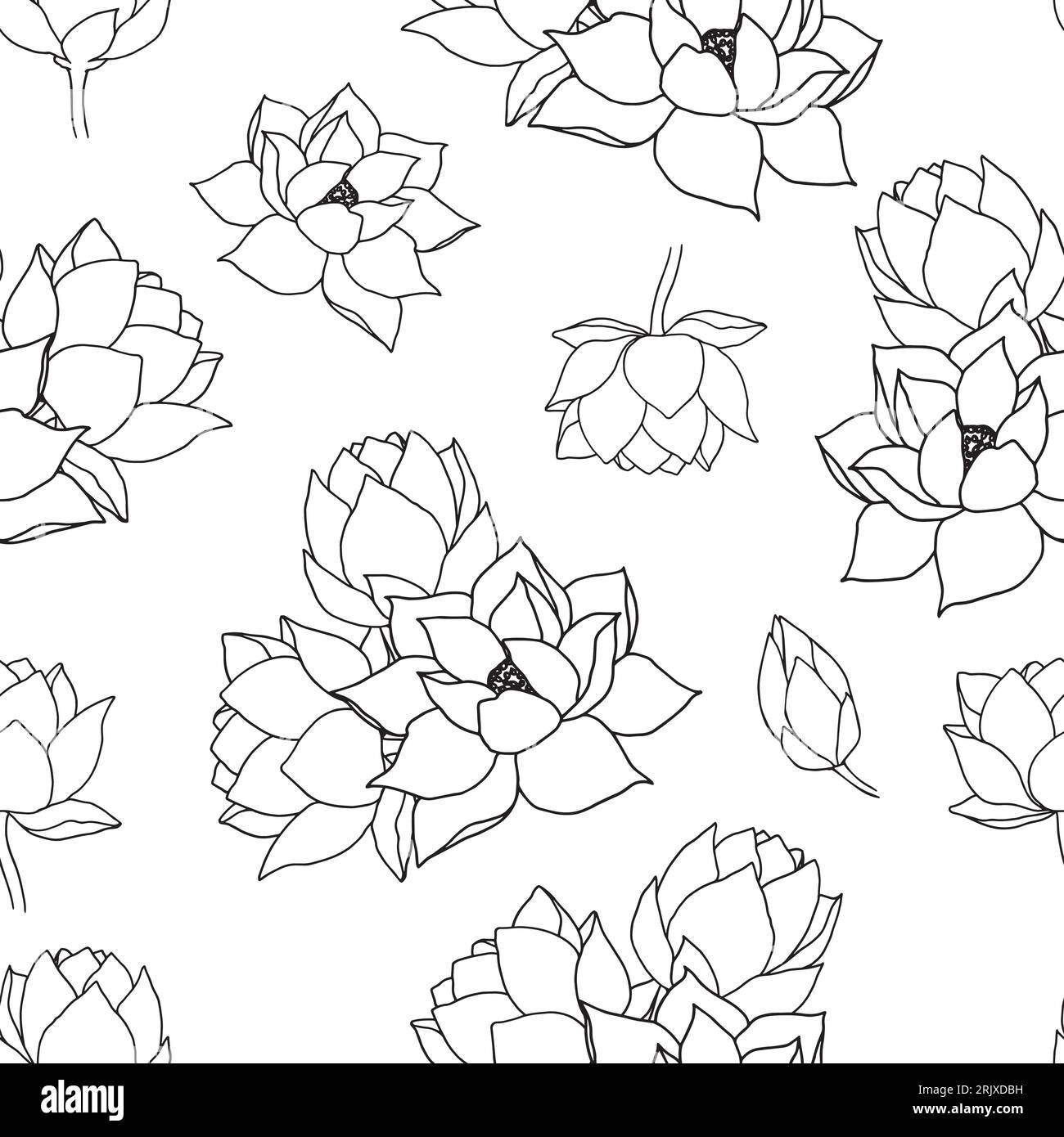 Vector Seamless modèle avec des fleurs et des bourgeons de lotus. Illustrations d'un nénuphar en graphiques noir et blanc, silhouettes. Contexte de Illustration de Vecteur