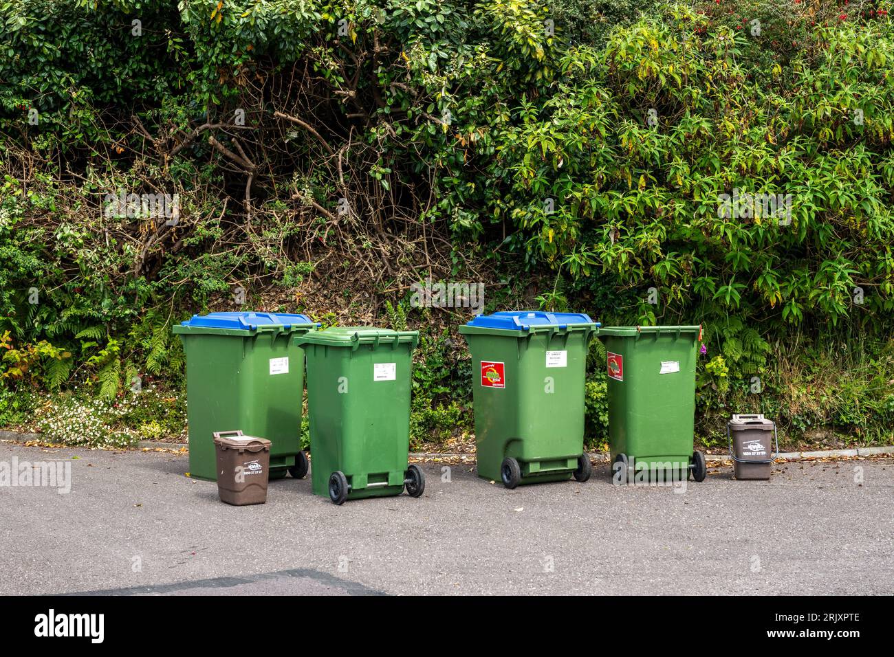 Poubelles à roues domestiques en attente d'être ramassées à West Cork, Irlande. Banque D'Images