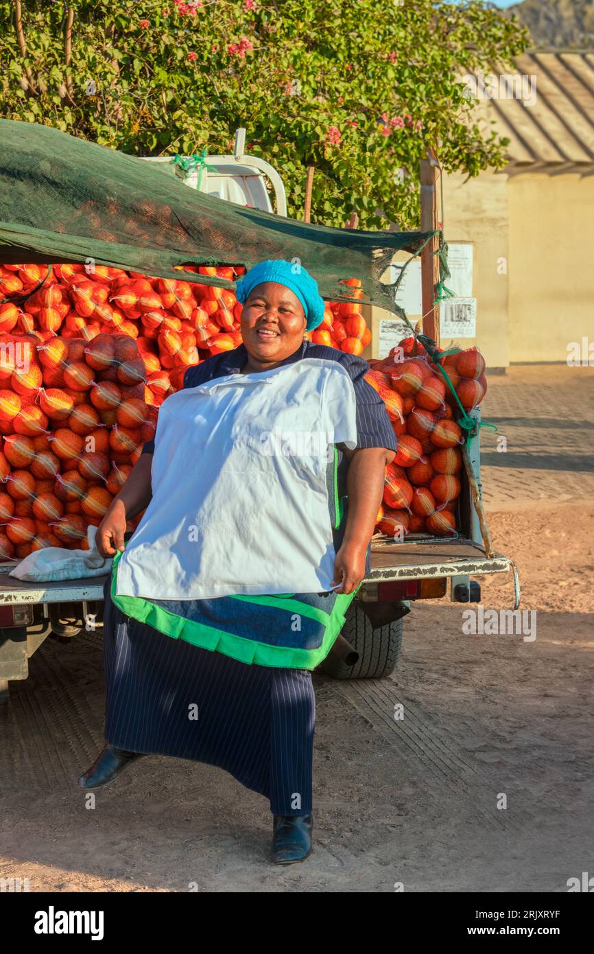 Femme africaine vendeuse de rue, vendant des oranges sur le bord de la route, compétences entrepreneuriales Banque D'Images