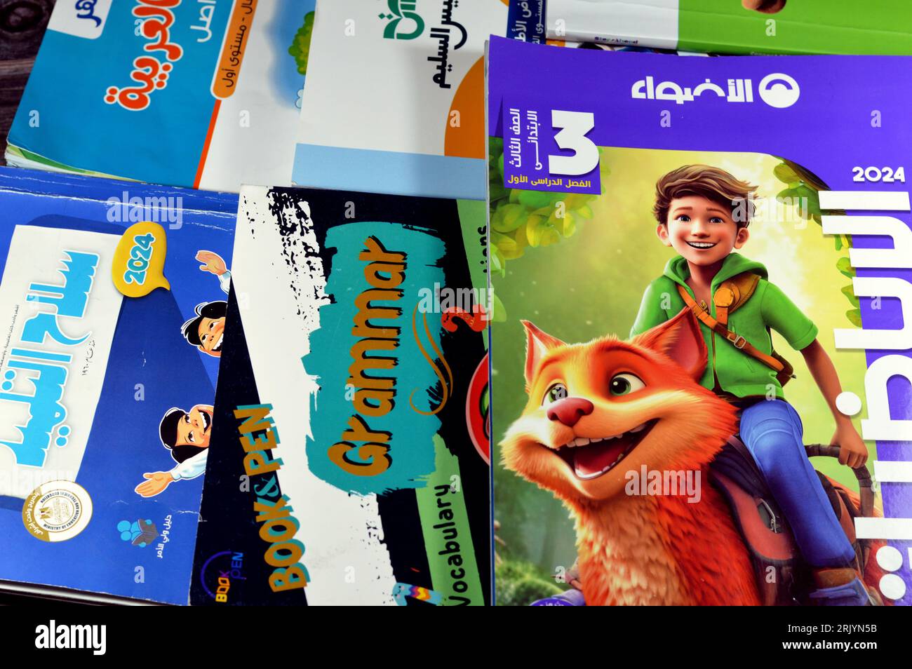 Le Caire, Egypte, août 18 2023 : pile de livres éducatifs utilisés par les écoliers égyptiens, apprentissage, enseignement, concept de livres éducatifs soit publié Banque D'Images