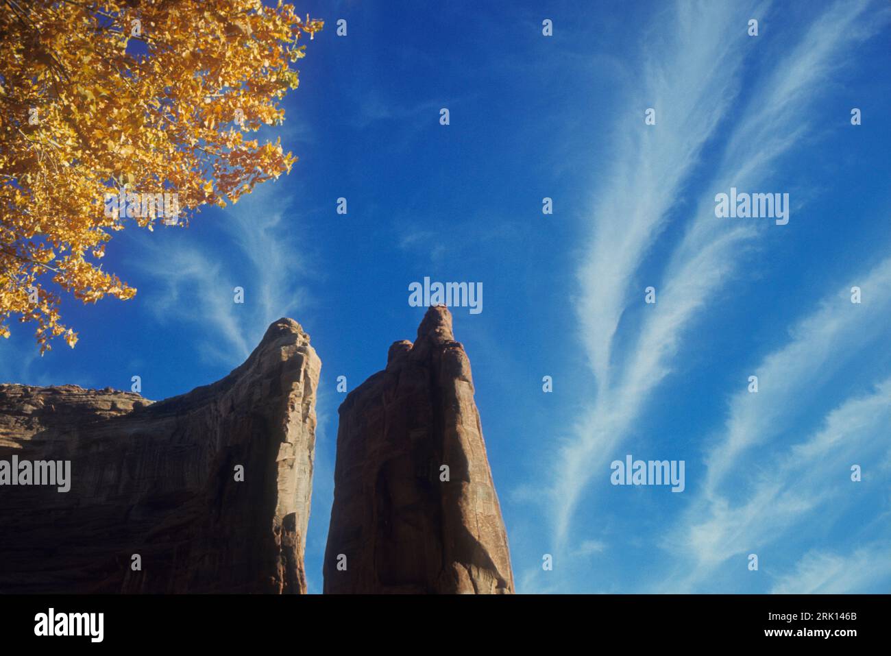 Canyon del Morto dans Canyon de Chelly National Monument, Arizona, États-Unis. Rochers et feuilles de chute contre ciel bleu avec nuages légers. Banque D'Images