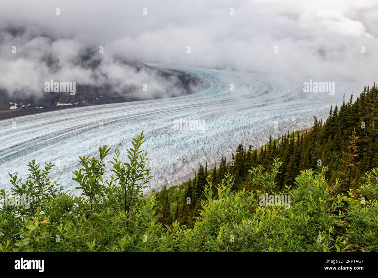 Glacier à saumon dans la brume, Stewart, Colombie-Britannique, Canada. Banque D'Images