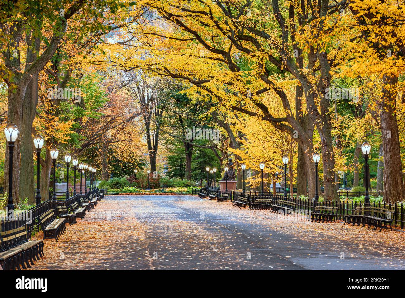 Central Park at The Mall in New York City during an autumn dawn. Banque D'Images